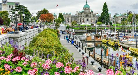 Quoi faire sur l'île de Vancouver ? | Blog Authentik Canada