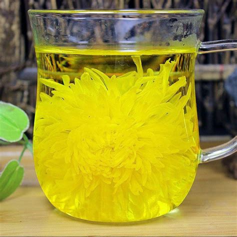 14 Chrysanthemum Tea Health Benefits, Nutrition, Side Effects - TeaFame