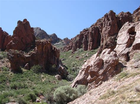 Photos: Organ Pipe National Monument | Parks | tucson.com