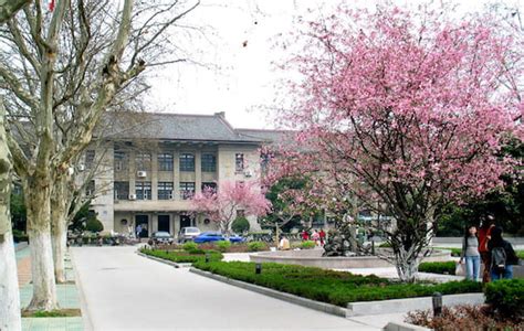 Anhui Agricultural University | ISAC Teach in China