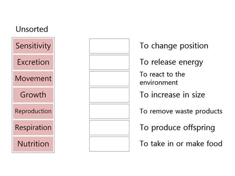 mrs gren worksheet - Google Search | Science worksheets, High school lesson plans, Science