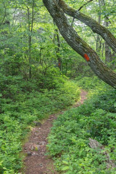 How to Get to Indian Wells Overlook in Rothrock State Forest - Uncovering PA