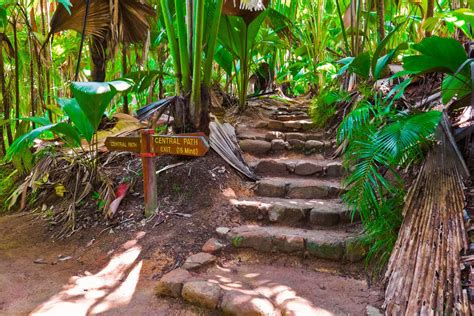 Vallée de Mai auf Praslin, Seychellen | Franks Travelbox