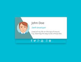 Bootstrap html snippet. profile card with animation