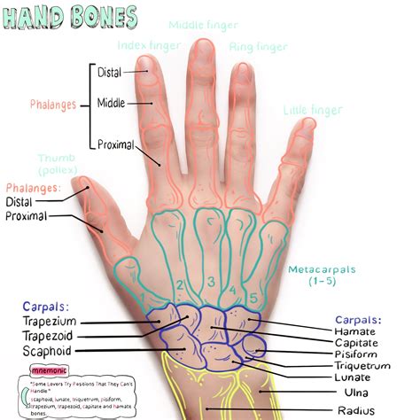 Pin on nclex