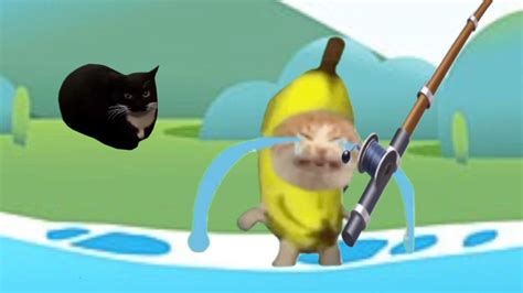 If Banana Cat fishing | Happy Cat Crying meme - YouTube