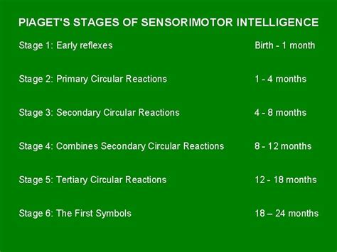 PIAGETS STAGES OF SENSORIMOTOR INTELLIGENCE Stage 1 Early