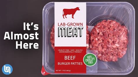 The Future of Meat - Lab Grown Meat Explained - YouTube