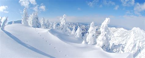 Kagura Ski Resort | G'Day Japan!