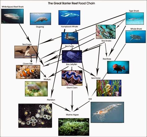 Sydney G's AP Environmental Science Blog