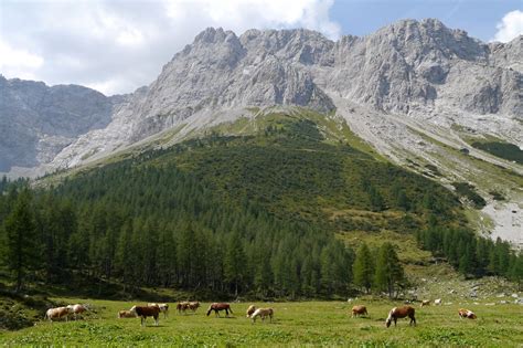 Karnischen Alpen - BERGFEX - Wanderung - Tour Tirol