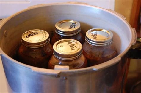 Boiling Water Bath and Pressure Canning - When to Use Which | Canning ...