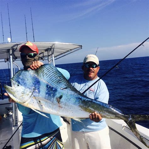 Offshore Fishing in Key West for Mahi - Key West Fishing Charters | Far ...