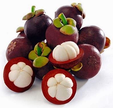 Health Information: 10 Facts And Benefits Of The Mangosteen Fruit For Health Benefits