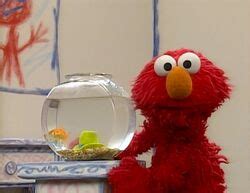 Elmo's World: Hats | Muppet Wiki | FANDOM powered by Wikia