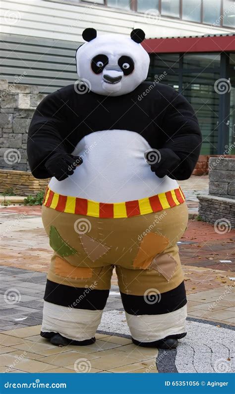 Man in a Kung Fu Panda Cosplay Editorial Photo - Image of 17th, outfit ...