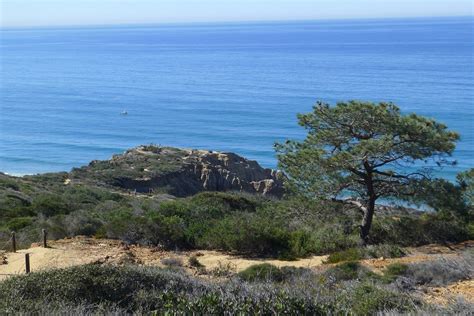 Torrey Pines - Torrey Pines State Natural Reserve | Travel + Leisure