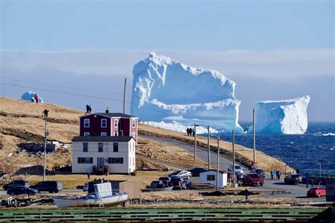 Embedded | Newfoundland, Fotografi