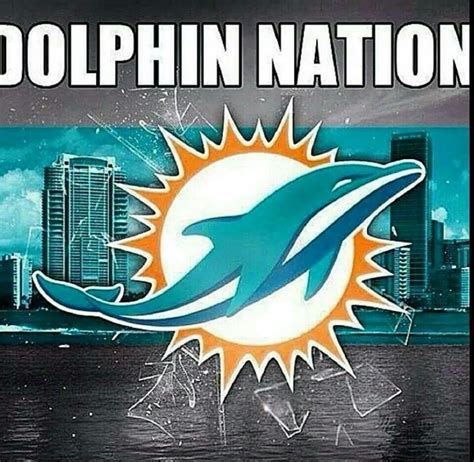 Miami dolphins logo, Miami dolphins cheerleaders, Dolphins