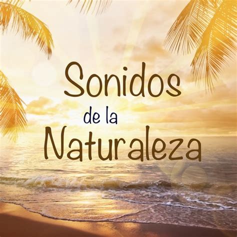 Sonidos De La Naturaleza Y Música Para Dormir: Relajación New Age Y Serenidad Dulces Sueños ...