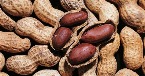 More Support for Early Exposure to Peanuts to Prevent Allergies - The ...