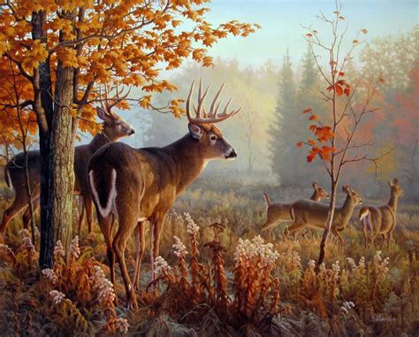 17 Best images about Art: The Whitetail on Pinterest | Limited edition ...