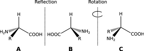 Illustration of enantiomers – PermaClipart