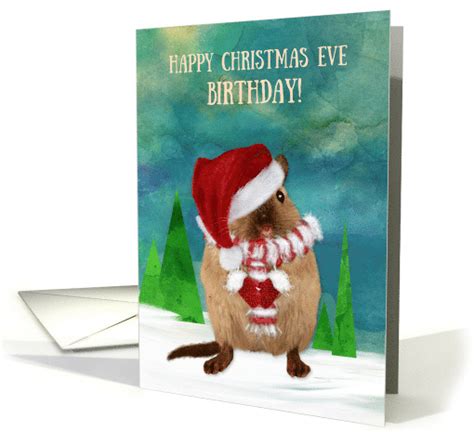 Christmas Eve Birthday Santa Gerbil in Winter Scene card (1492856)