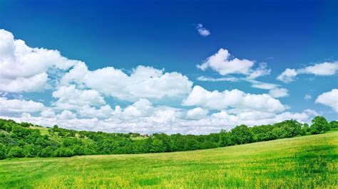 Grassland Background (45+ images)