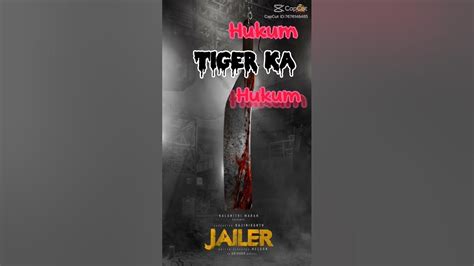 Hukum Tiger ka hukum - YouTube