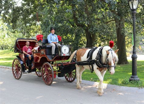 NYC Horse Carriage Rides - Central Park Carriage Rides - Proudly ...