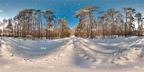 360° view of Beautiful landscape with trees blue road sky sun snow at winter 3D spherical ...