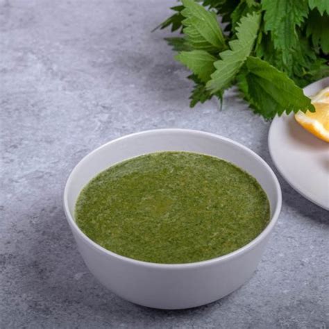 Nettle Soup Recipe - Botany-World