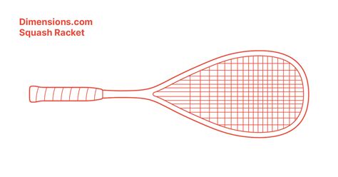 Squash Racket Dimensions & Drawings | Dimensions.com