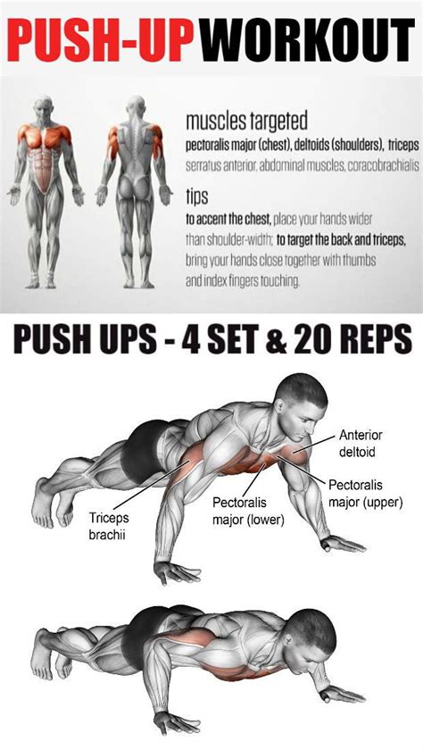 How Can I Create The Best Upper Body Shape Without Using Weights? 8 ...