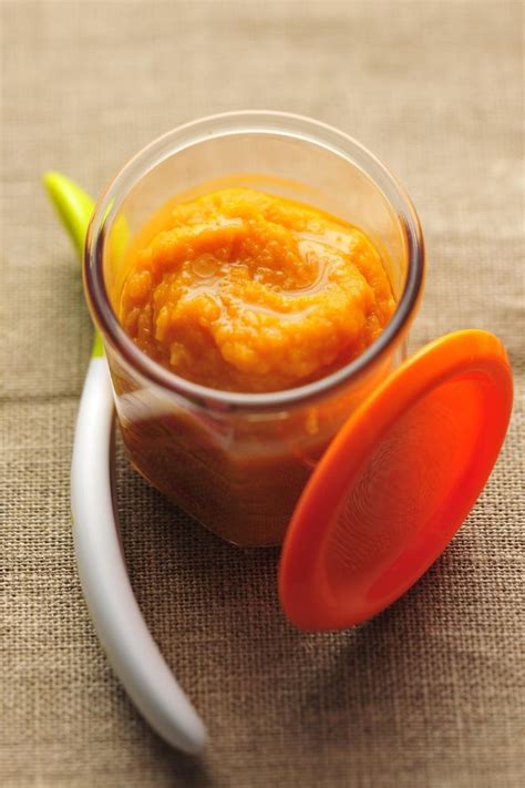 8 best Puree Recipes For Adults images on Pinterest | Pureed food ...