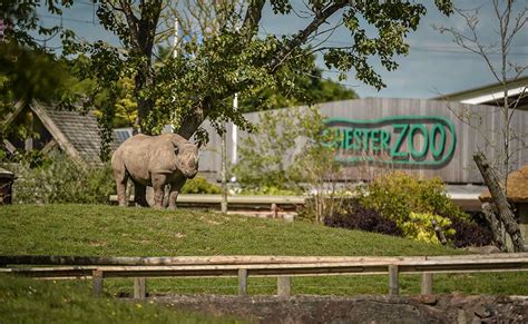 Chester Zoo unveils 2030 vision including vast themed zones | blooloop