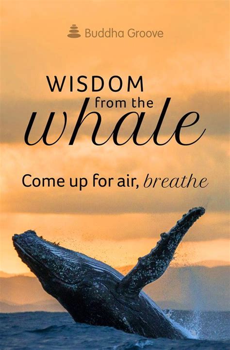 Theme of the Week: Nature | Just breathe quotes, Whale quote, Buddhism quote