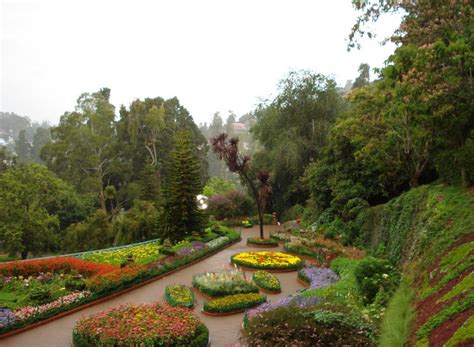 Travel-India: Ooty Botanical Garden in Ooty