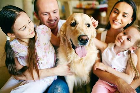 Los propietarios de mascotas experimentan vínculos más sólidos con la sociedad | IM Veterinaria