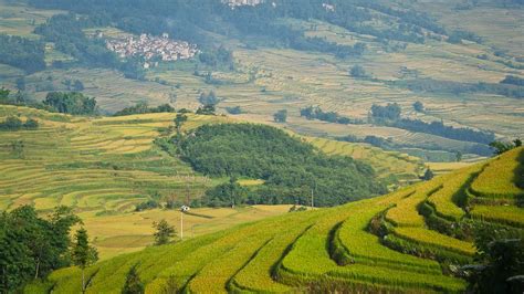 Biodiversity in the Hani Cultural Landscape - Our World