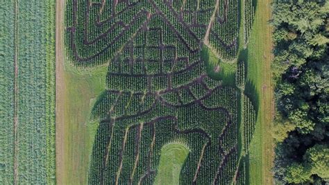 Unusual corn mazes around the USA