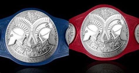 Smackdown Tag Team Championship & Raw Tag Team Championship | Wwe tag ...