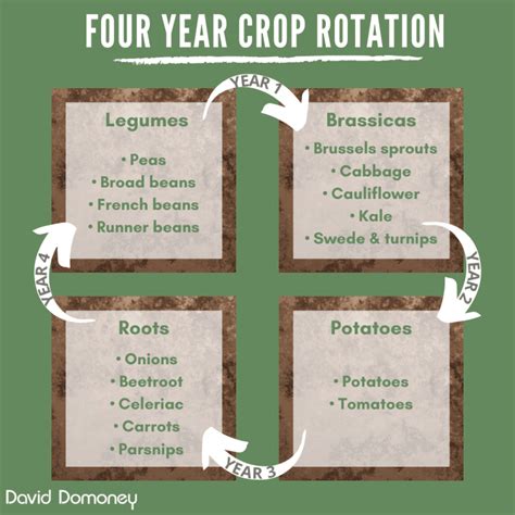 garden rotation chart Planning the garden: crop rotation