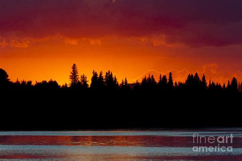 Red Sunset Along Treeline Photograph by Darcy Michaelchuk