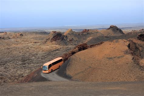 Lanzarote Bus Trip - Rizoomes