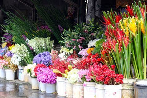 Some flowers, Kemang