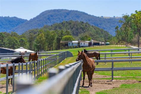 ARCHER PARK | Magic Millions