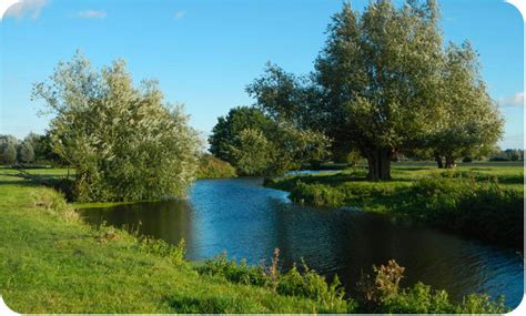 5 Great Dedham Vale Walks — Local Walks