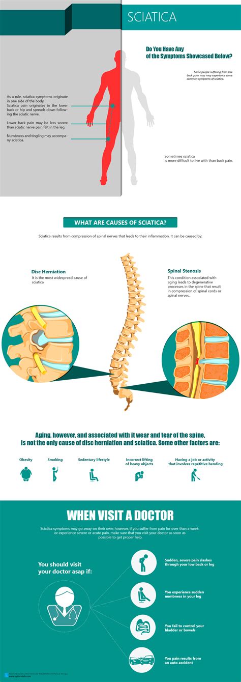 Causes and Symptoms of Sciatica [INFOGRAPHIC] - Infographic Plaza
